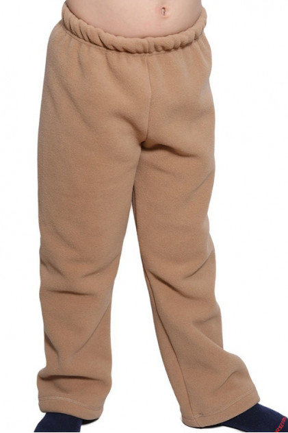 HTB 005 Флисовые штаны для мальчика ( бежевый)